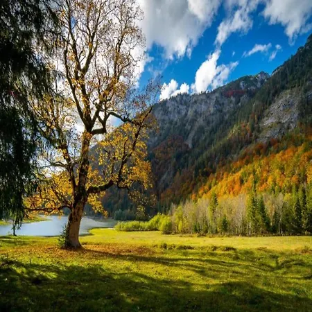 In Ruhpolding